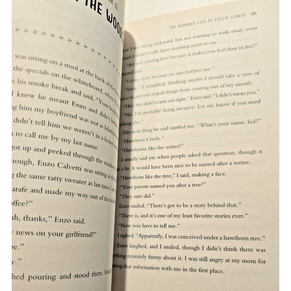 The Hundred Lies of Lizzie Lovett by Sedoti, Chelsea - Picture 8 of 9